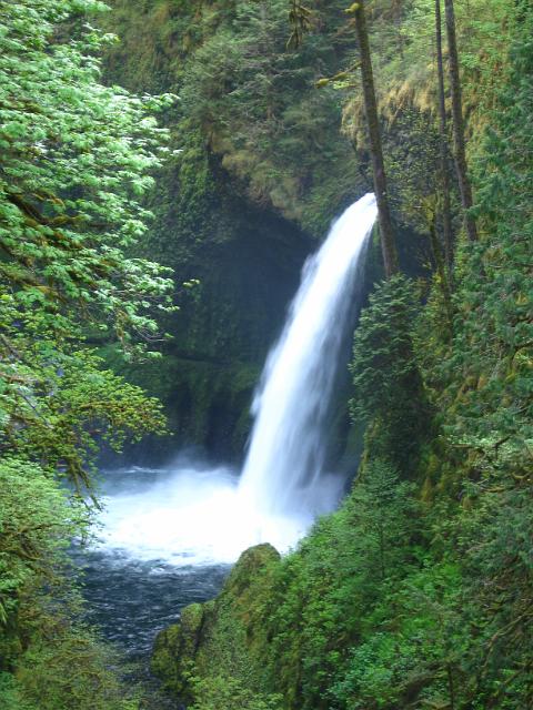 Eagle Creek-117.JPG - Metlako Falls